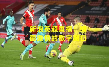 新浪英超直播：绿茵激情的数字窗口