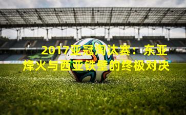 2017亚冠淘汰赛：东亚烽火与西亚铁壁的终极对决