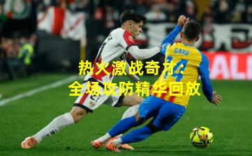 热火激战奇才:全场攻防精华回放