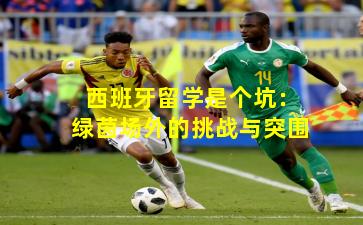 西班牙留学是个坑：绿茵场外的挑战与突围